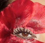 red flawers make up