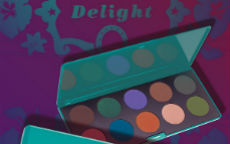 Palette Makeup Delight NeveCosmetics