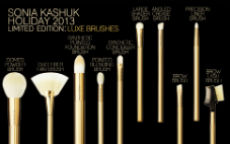 sonia kashuk limited edition the lavish luxe  piece brush set