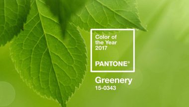 pantone  color of the year